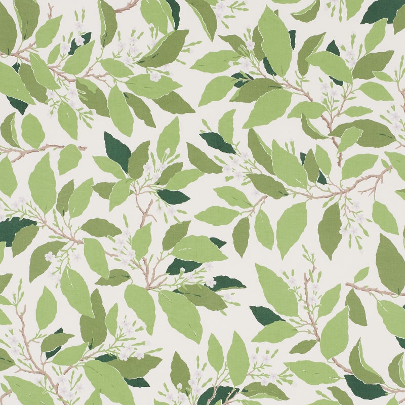 Purchase sample of 176520 Dogwood Leaf, Ivory by Schumacher Fabric