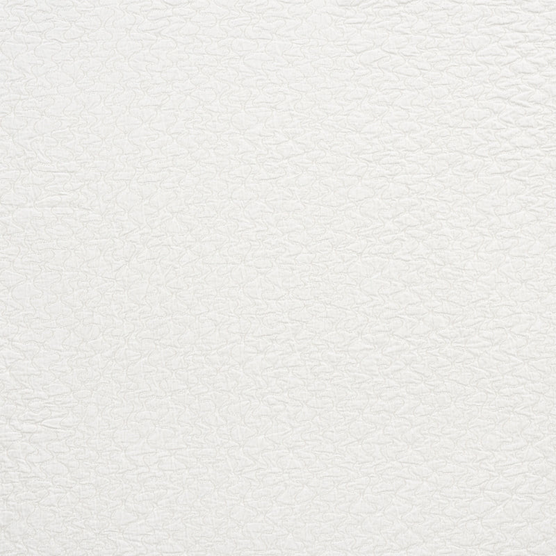 Purchase sample of 75270 La Belle, Ivory by Schumacher Fabric
