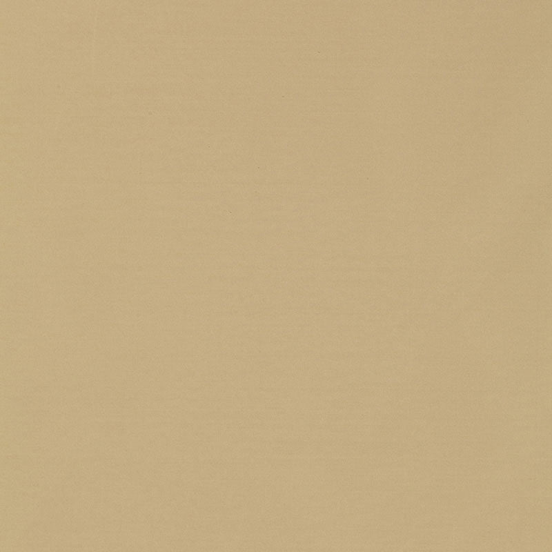Purchase sample of 63900 Masaccio Taffeta, Putty by Schumacher Fabric