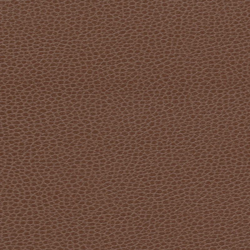 Purchase sample of 363-3143 Promessa, Tudor by Schumacher Fabric