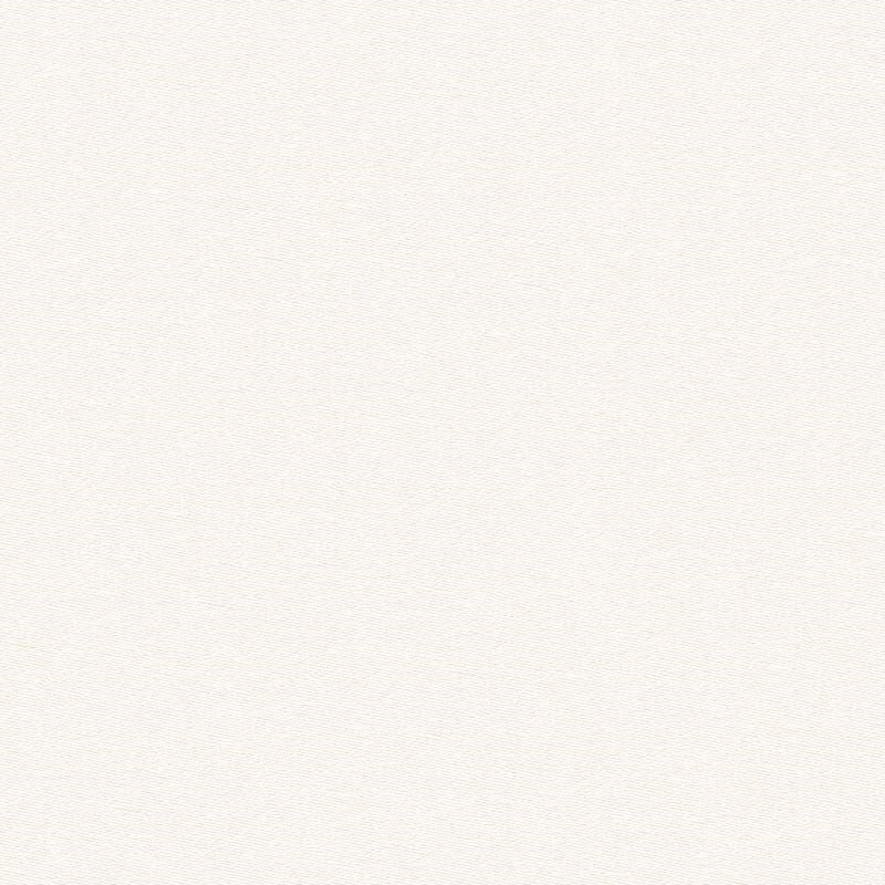 Find 34867.101.0 Ahoy Cloud Texture White by Kravet Design Fabric