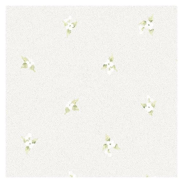 Search AF37749 Flourish (Abby Rose 4) Green Laurel Spot Wallpaper by Norwall Wallpaper