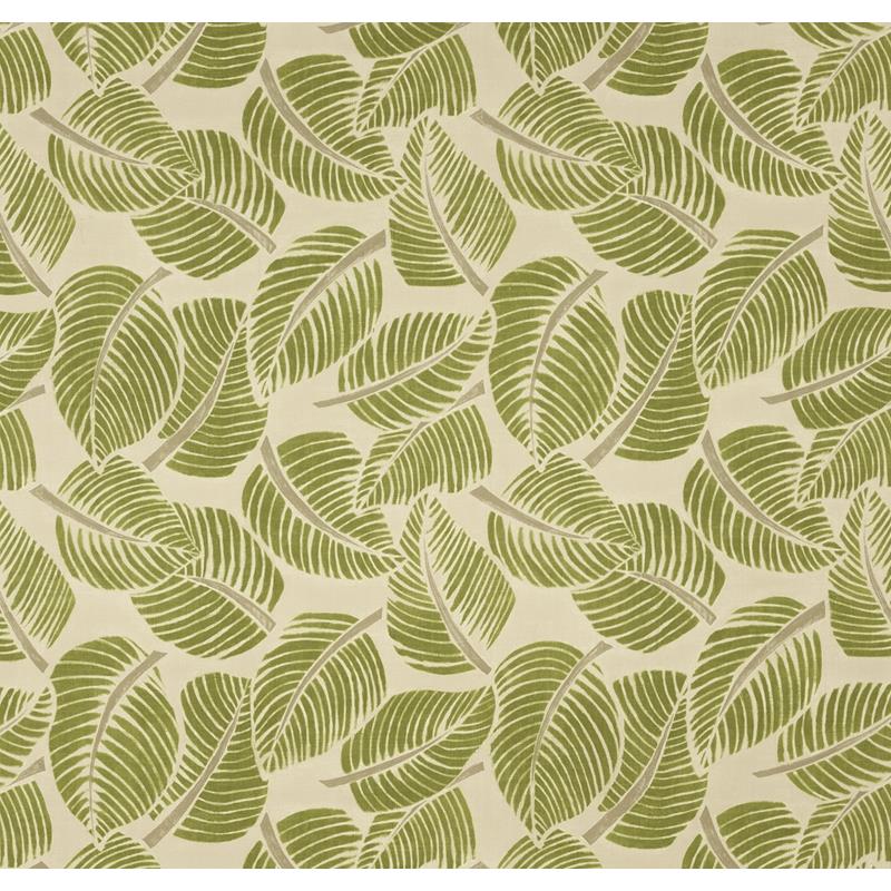Purchase sample of 176190 Costa Rica, Leaf by Schumacher Fabric