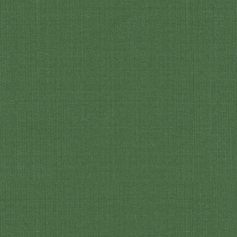 Purchase sample of 22654 Sargent Silk Taffeta, Grass by Schumacher Fabric