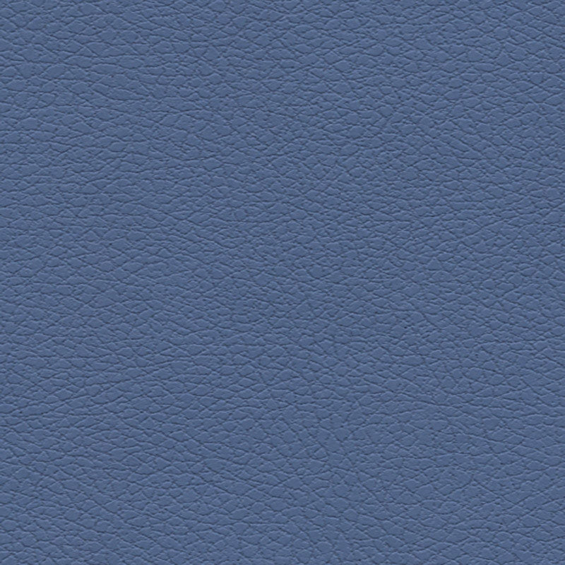 Purchase sample of 303-2696 Brisa, Sky by Schumacher Fabric