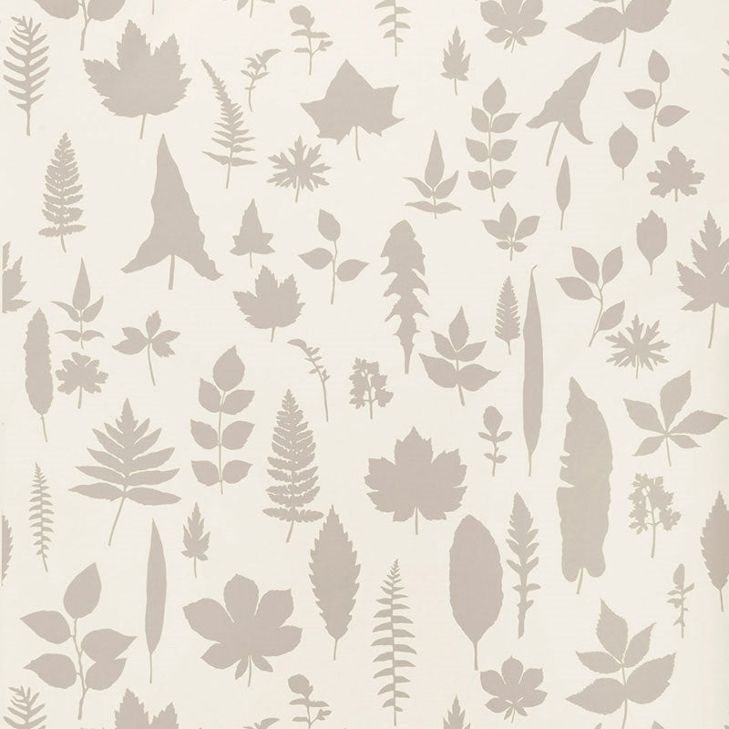 Shop 5005020 Leaves Platinum Schumacher Wallpaper