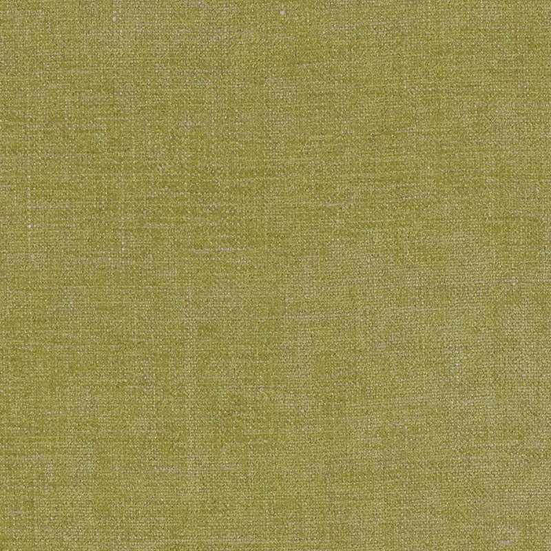 Purchase sample of 69065 Auden, Chartreuse by Schumacher Fabric