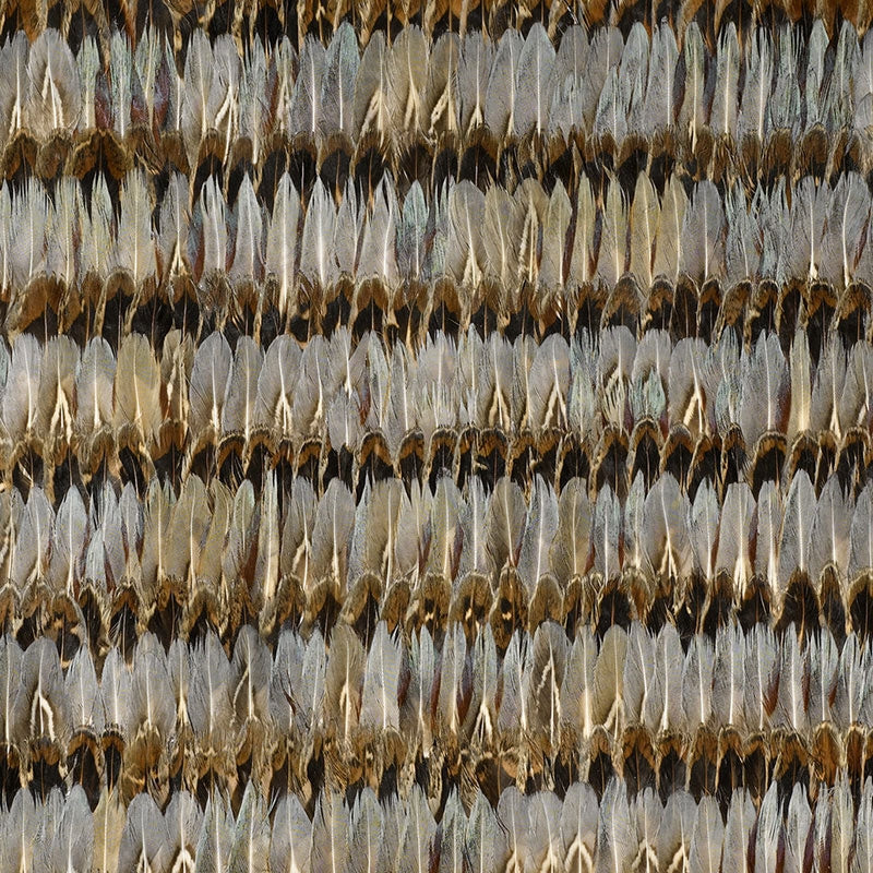 Save on 5003930 Everglades Dove Schumacher Wallpaper