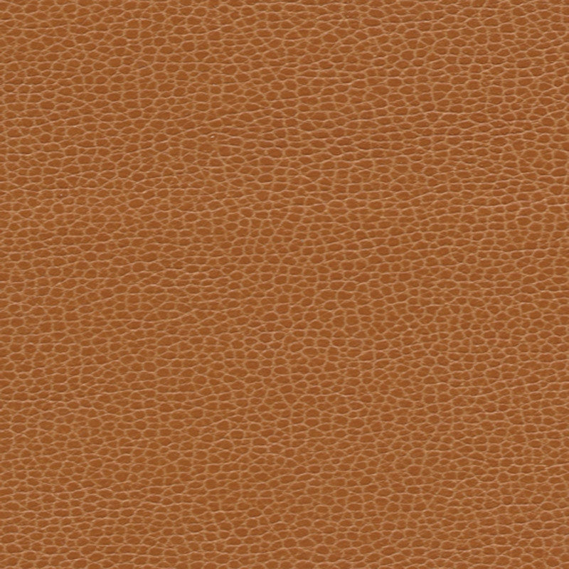 Purchase sample of 363-3140 Promessa, Saddle by Schumacher Fabric