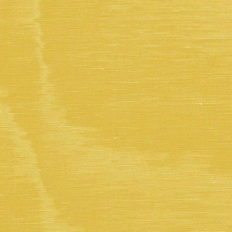 Purchase sample of 70407 Incomparable Moire, Citron by Schumacher Fabric