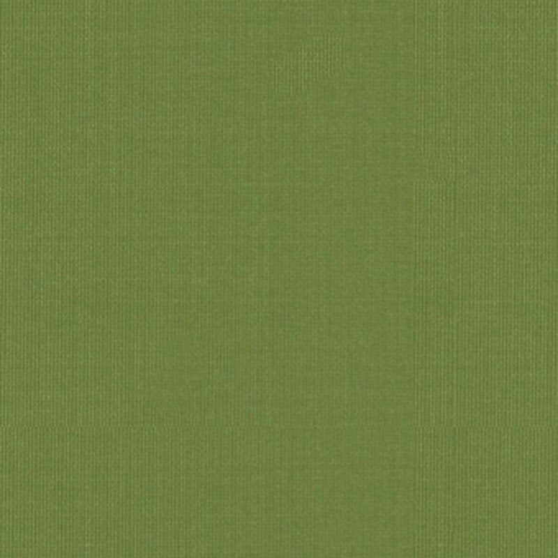 Purchase sample of 22653 Sargent Silk Taffeta, Leaf by Schumacher Fabric