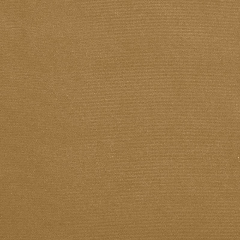 Purchase sample of 64561 Gainsborough Velvet, Split Pea by Schumacher Fabric