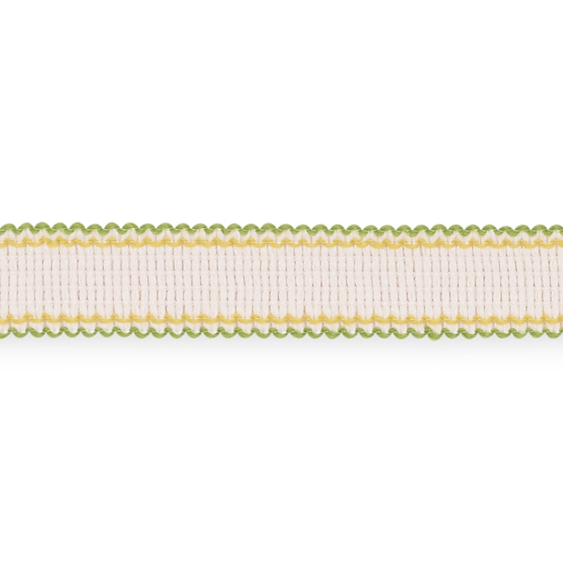 73575 | Filippa Tape, Leaf - Schumacher Fabric