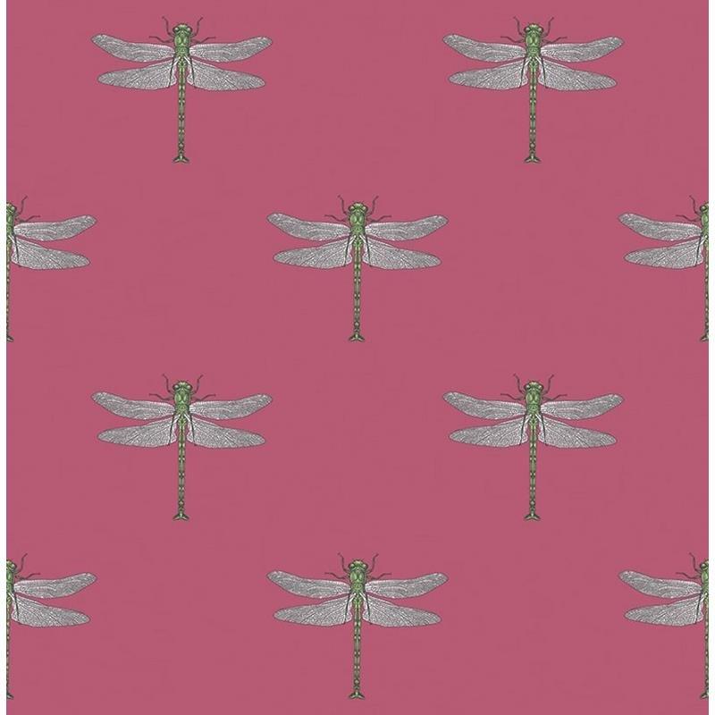 View TA20301 Tortuga Black Dragonfly by Seabrook Wallpaper