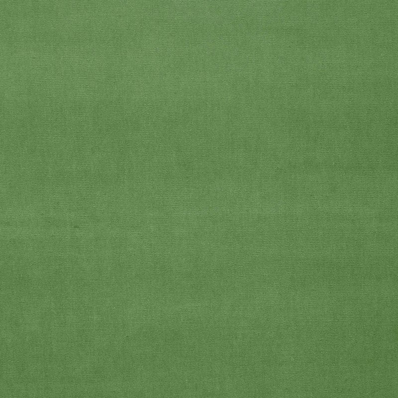 Purchase sample of 42876 Gainsborough Velvet, Parrot by Schumacher Fabric