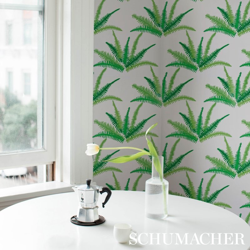 Find 5012621 Canyon Ferns Jungle Schumacher Wallcovering Wallpaper