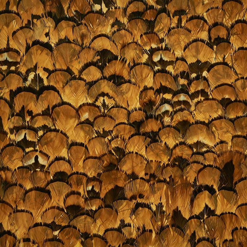 Find 5008392 Limonite Apricot Schumacher Wallpaper