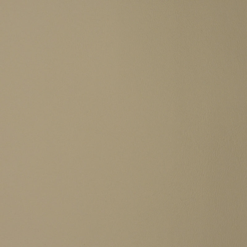 Shop F1857 Parchment Neutral Texture Greenhouse Fabric