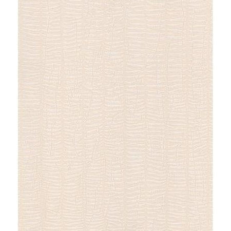 Buy AM57711 Atmosphere Beige Texture by Washington Wallpaper
