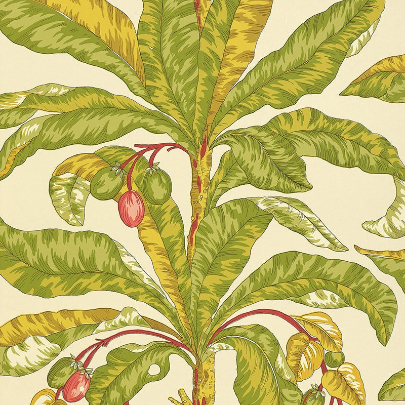 Looking for 5004063 Blair House Palm Tropical Schumacher Wallpaper