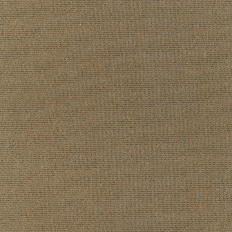 Purchase sample of 54885 Chiaroscuro Velvet, Mink by Schumacher Fabric