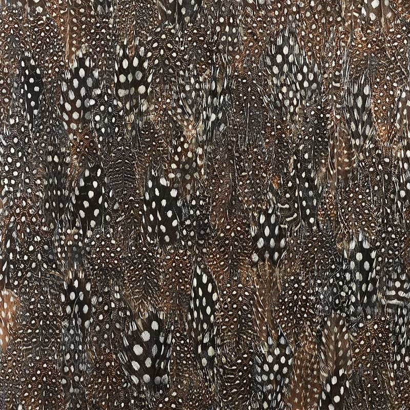 View 5008391 Graphite Black Pearl Schumacher Wallpaper