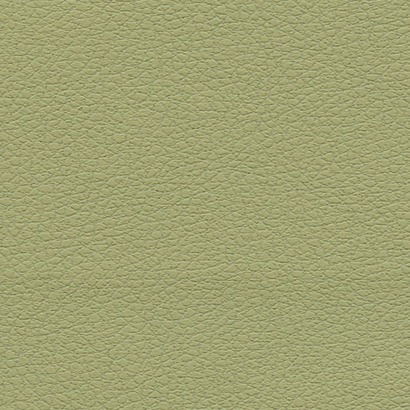 Purchase sample of 303-4510 Brisa, Celery by Schumacher Fabric