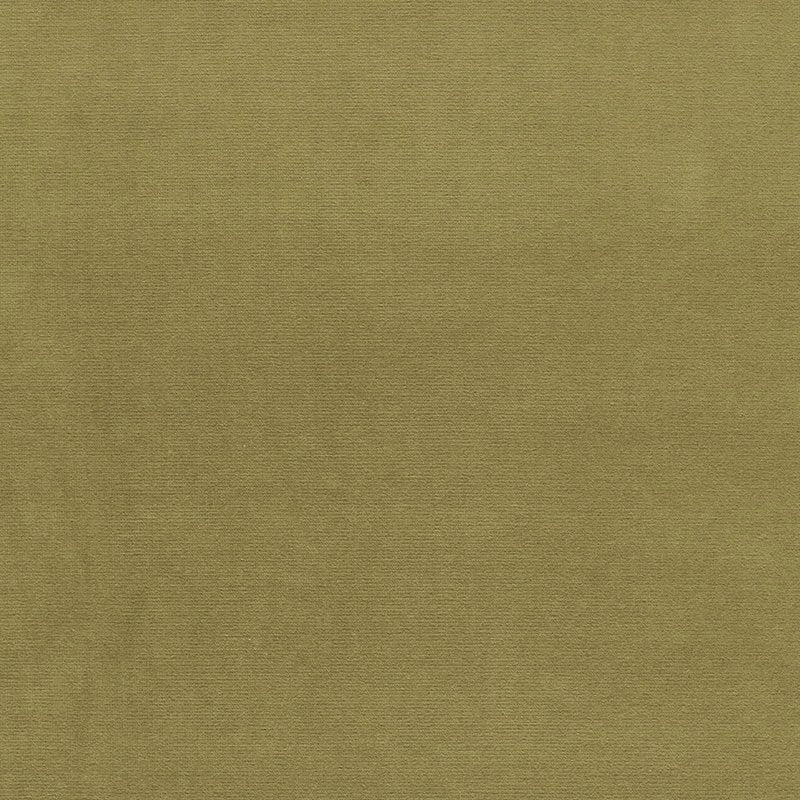 Purchase sample of 42858 Gainsborough Velvet, Lichen by Schumacher Fabric