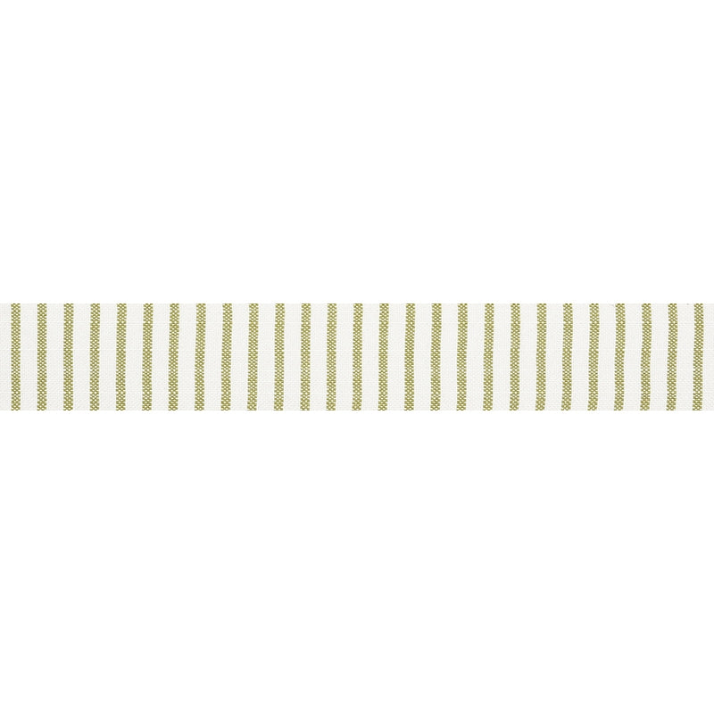 72584 | Salton Tape, Leaf - Schumacher Fabric