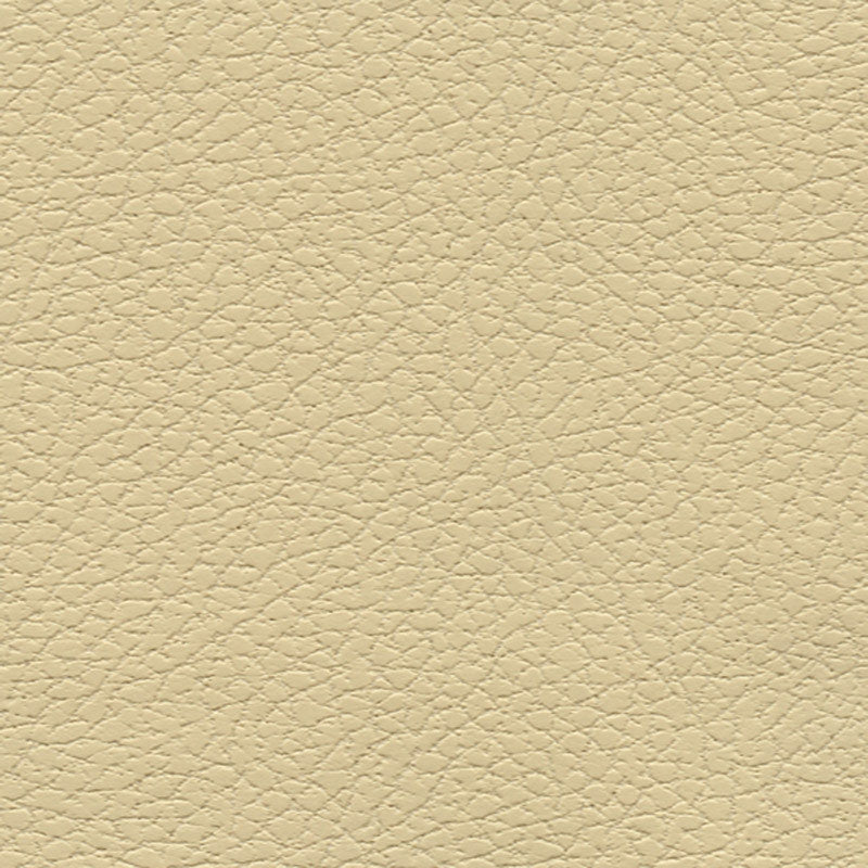 Purchase sample of 303-3960 Brisa, Camel by Schumacher Fabric