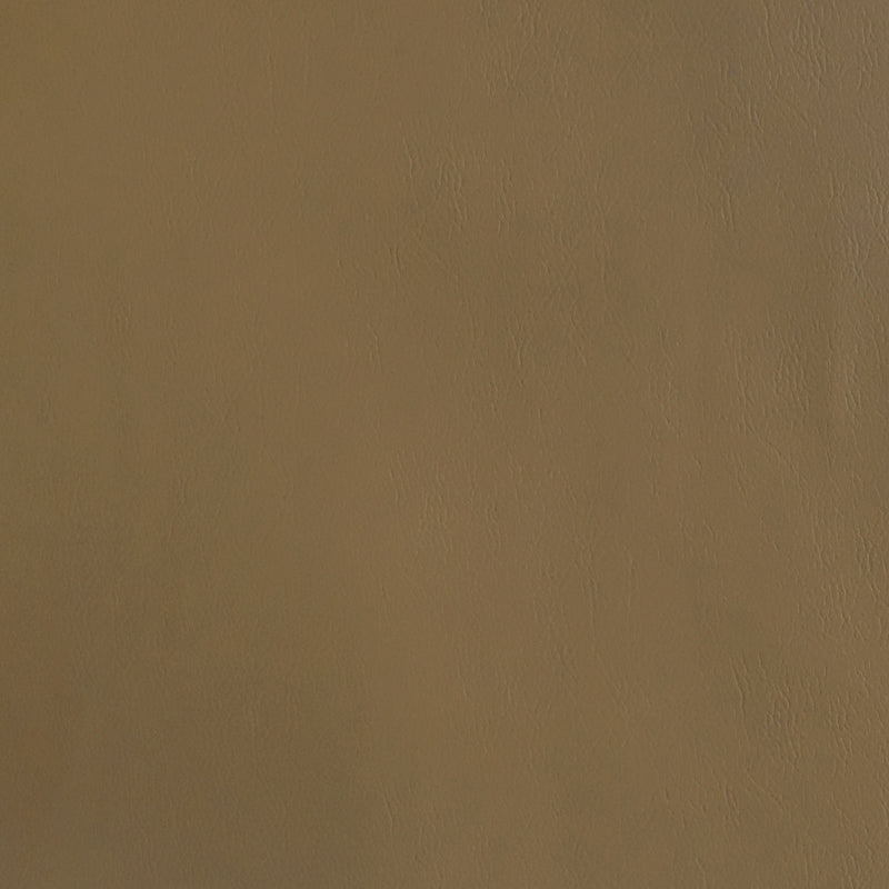 Shop F2868 Taupe Upholstery Greenhouse Fabric