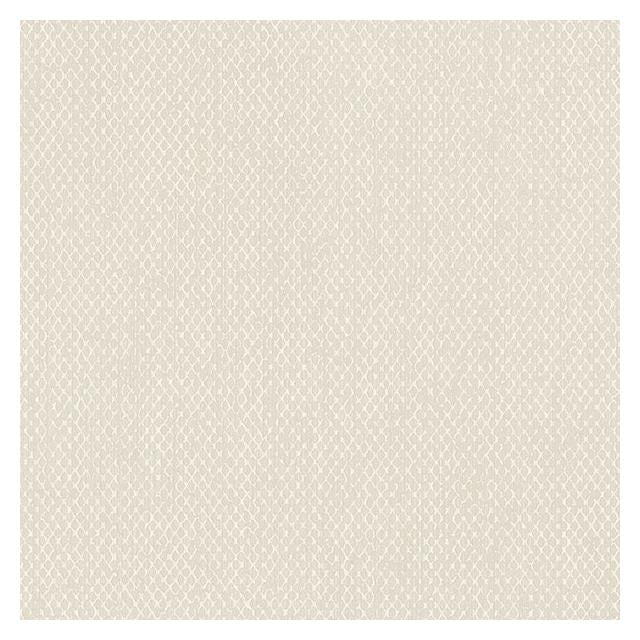 Looking WF36317 Wall Finish Screen by Norwall Wallpaper