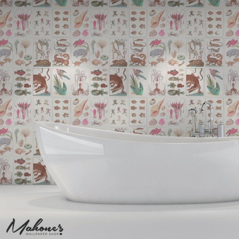 Select 5012091 Bauhin Soft Multi Schumacher Wallcovering Wallpaper