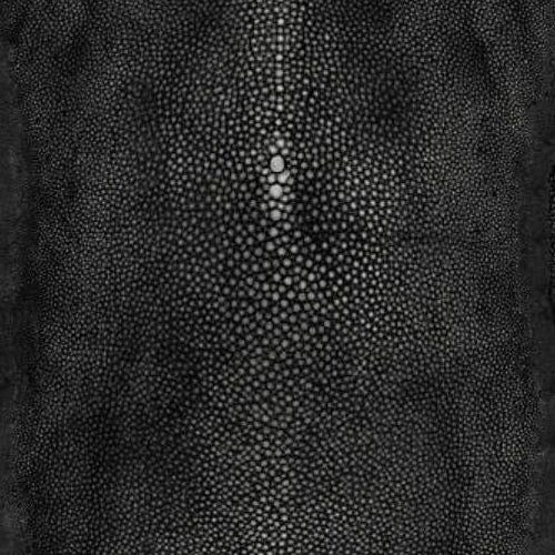 Acquire WH000033326 Precieux Noir by Jean Paul Gaultier Wallpaper