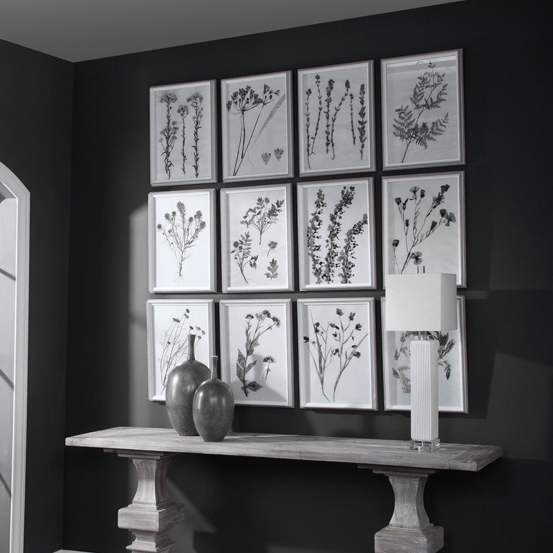 33713 | Uttermost Contemporary Botanicals Framed Prints, S/12 - Uttermost