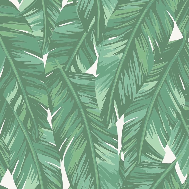 View DD139014 Design Department Dumott Green Tropical Leaves Wallpaper Green Brewster