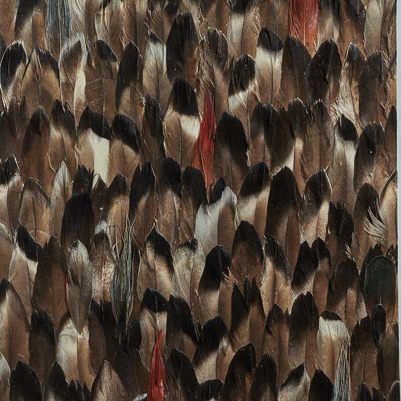 Looking for 5008383 Averlite Black Smoke Schumacher Wallpaper