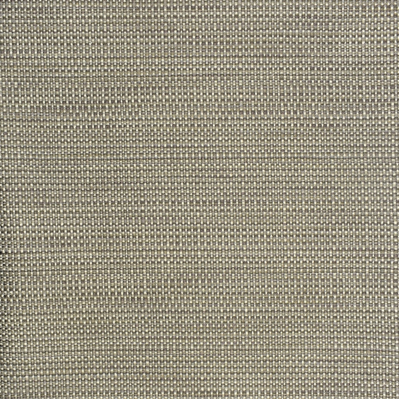 Save S2296 Pewter Gray Greenhouse Fabric