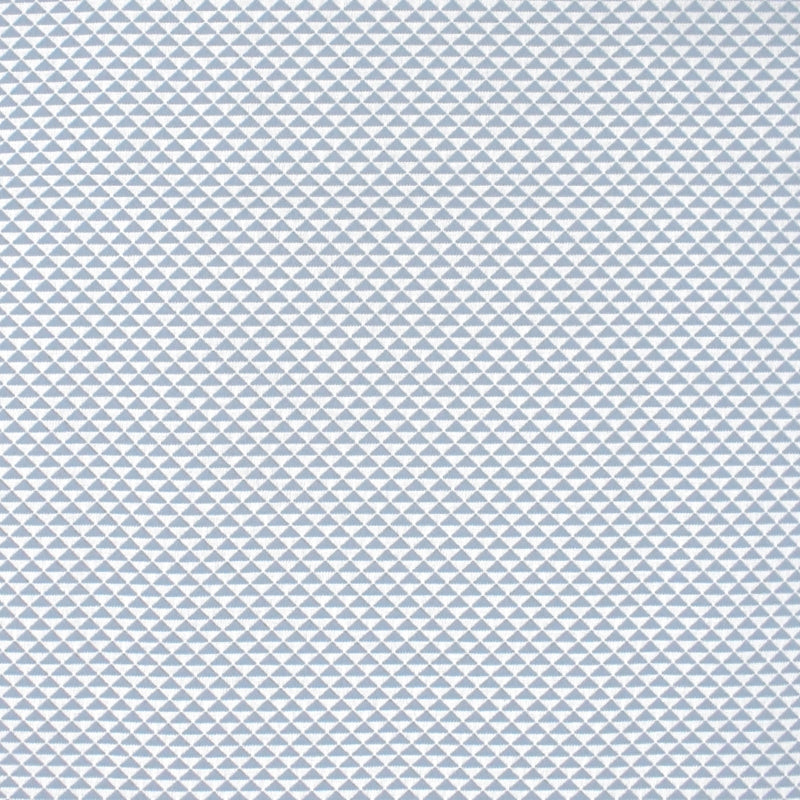 Find S4535 Sky Diamond Blue Greenhouse Fabric
