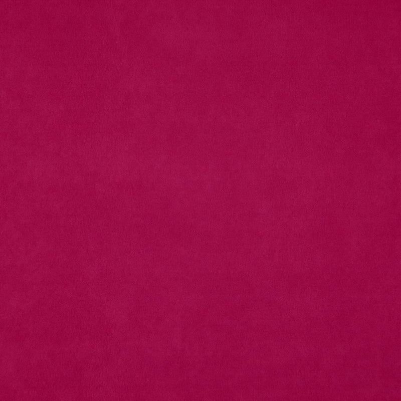 WISDOM 44J7531 - JF Fabric