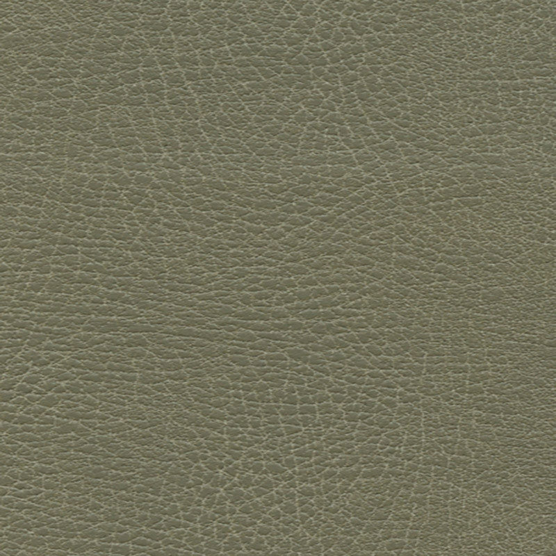 Purchase sample of 335-4512 Brisa Distressed, Prairie by Schumacher Fabric