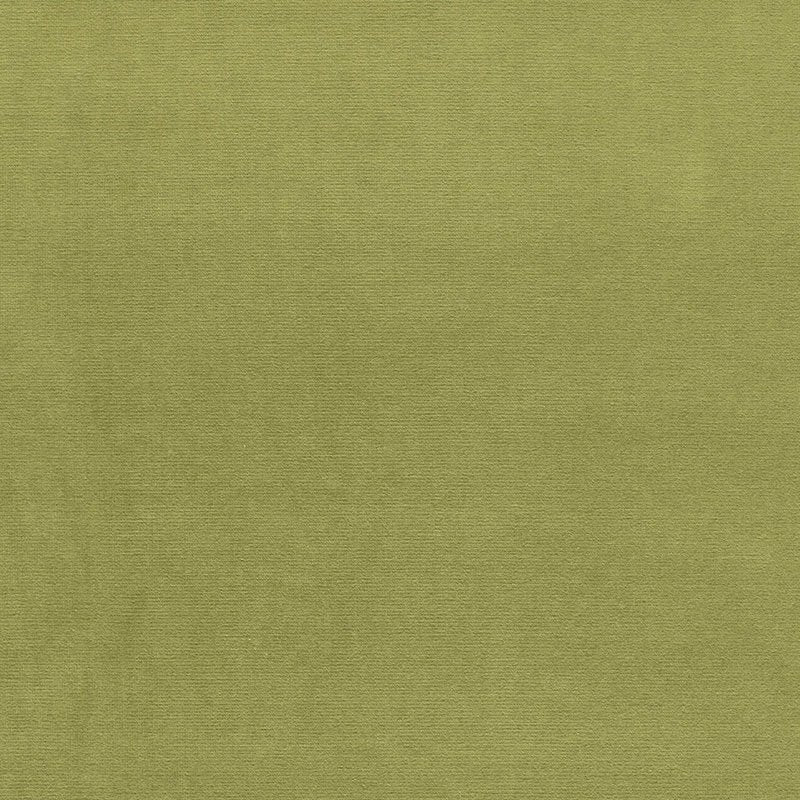 Purchase sample of 43258 Gainsborough Velvet, Palm by Schumacher Fabric
