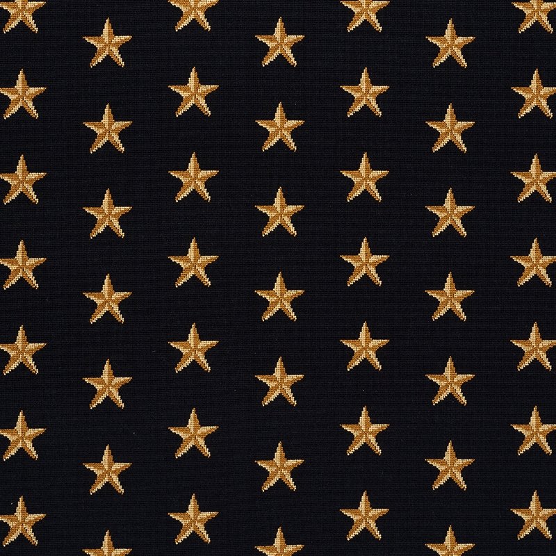 Purchase sample of 77420 Star Epingle, Black by Schumacher Fabric