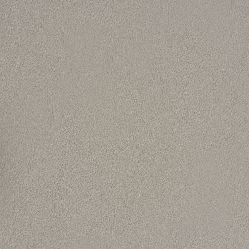 Purchase sample of 79554 Indoor/Outdoor Vegan Leather, Stone by Schumacher Fabric