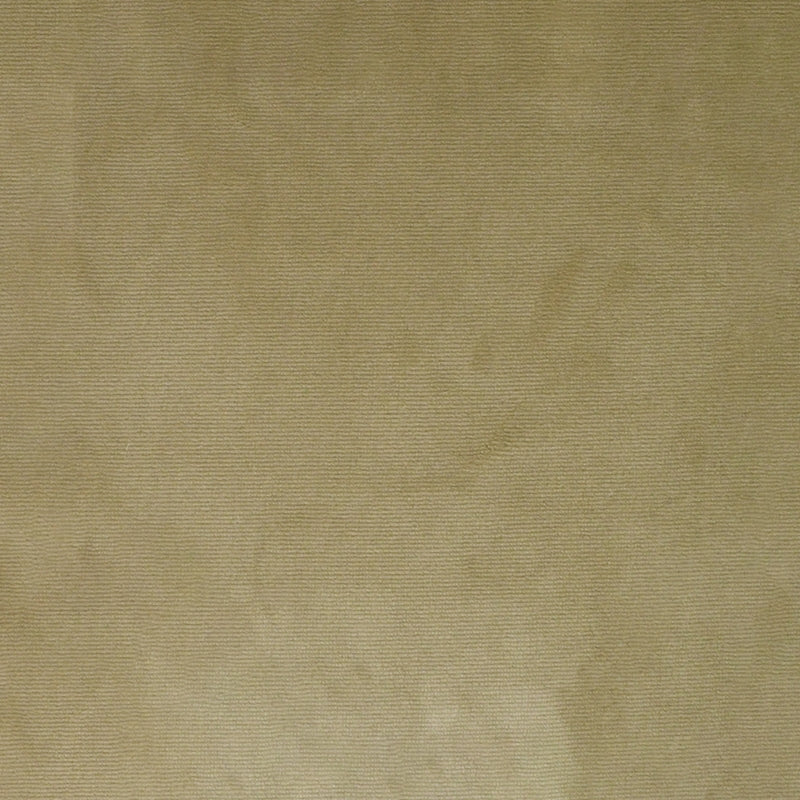 Shop S4983 Champagne Neutral Greenhouse Fabric