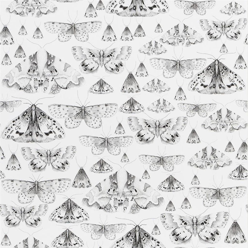 Sample PDG713-05 Issoria, Black And White by Designer Guild Wallpaper