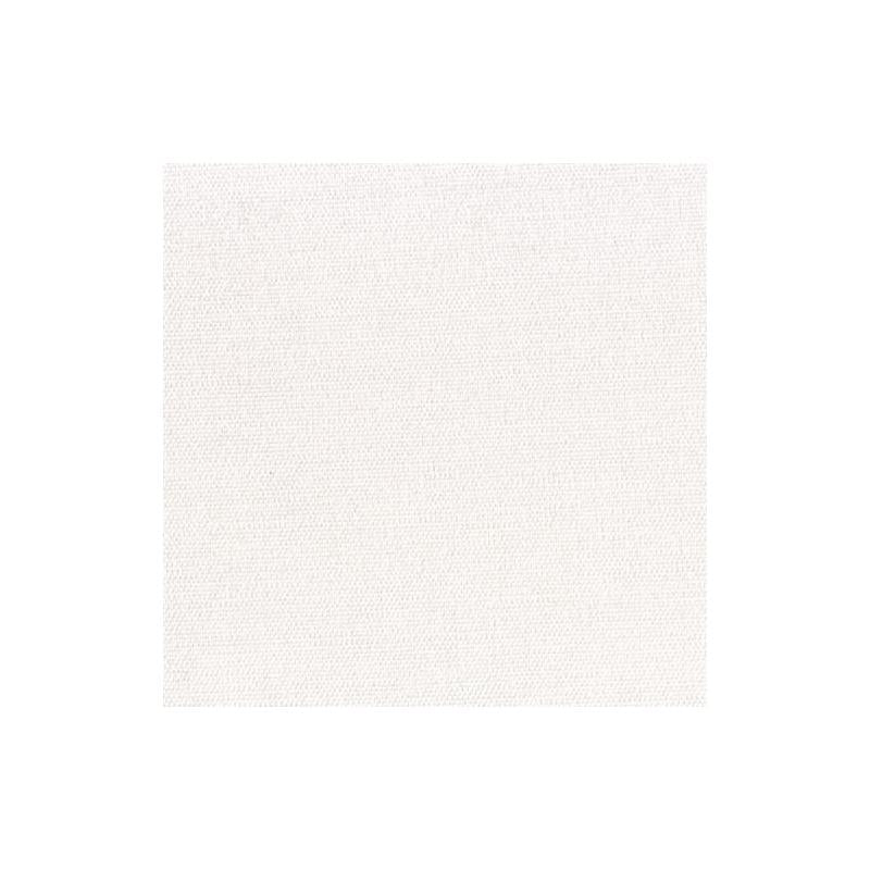 528025 | Sirenuse | White - Robert Allen Fabric