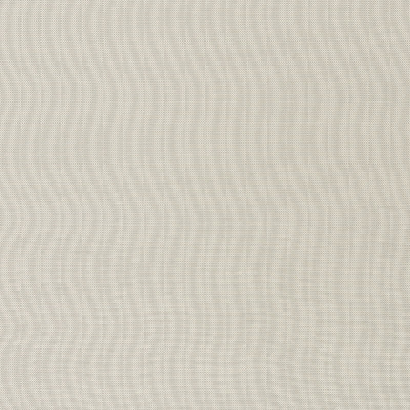 Purchase sample of 71020 Mondello, Platinum by Schumacher Fabric