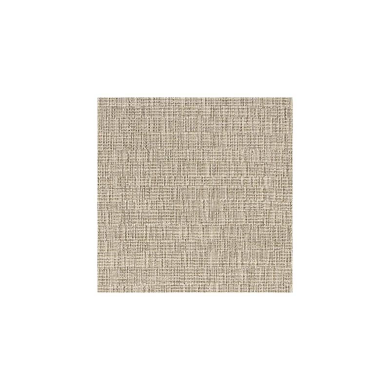 Shop S3369 Alabaster Gray Solid/Plain Greenhouse Fabric