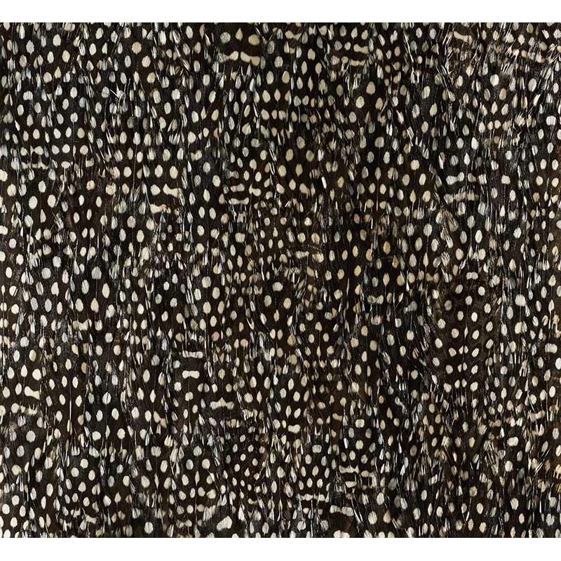 Buy 5008379 Zinc Black & White Schumacher Wallpaper